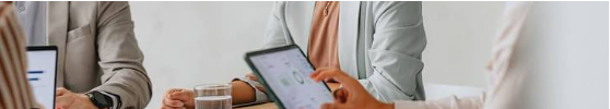 The Importance of Proactive NetSuite Maintenance for Business Continuity