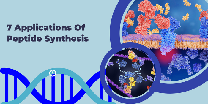 Common Applications of Peptides in Scientific Research